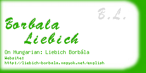 borbala liebich business card